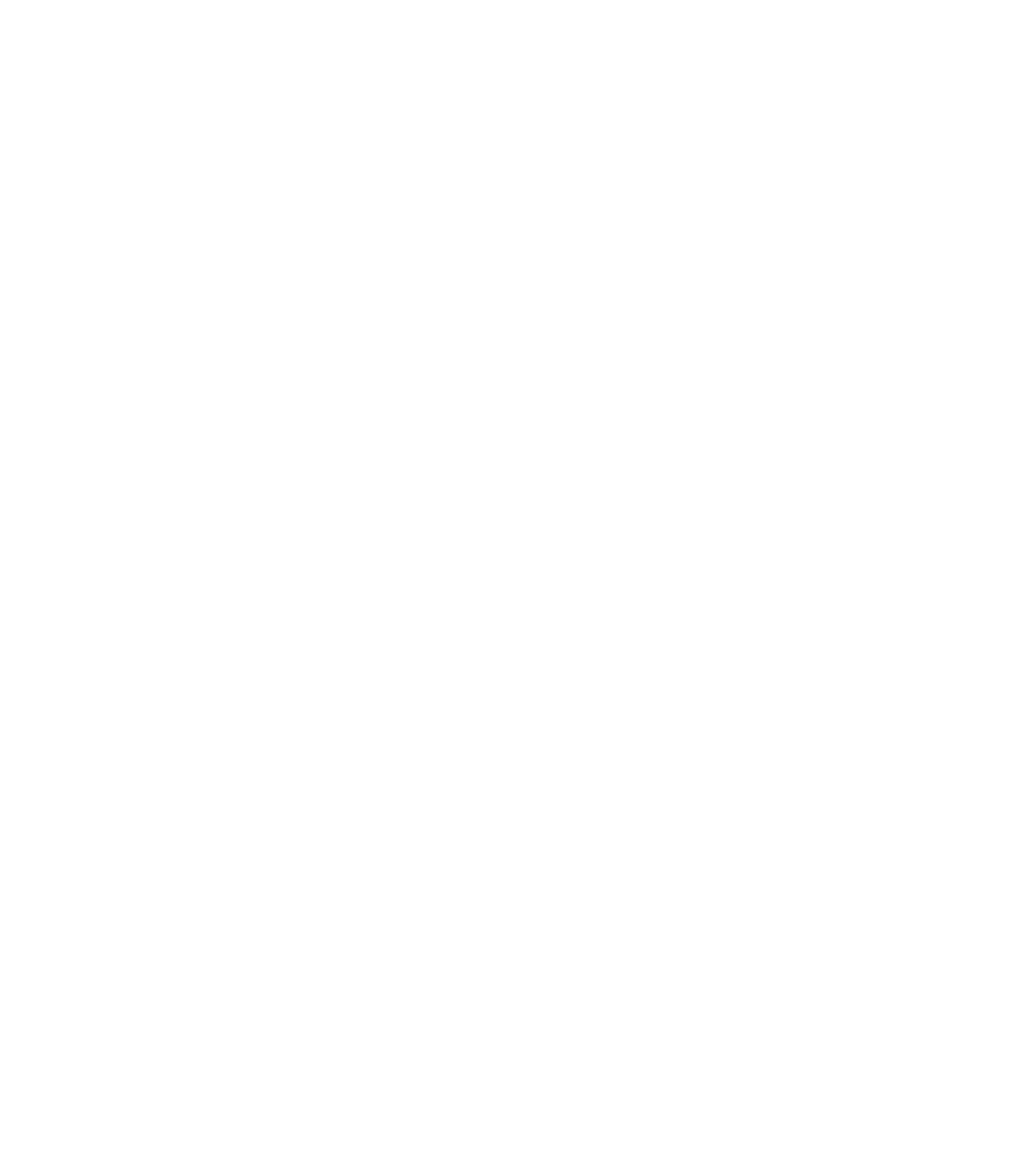 K&N Brokerage Logo White